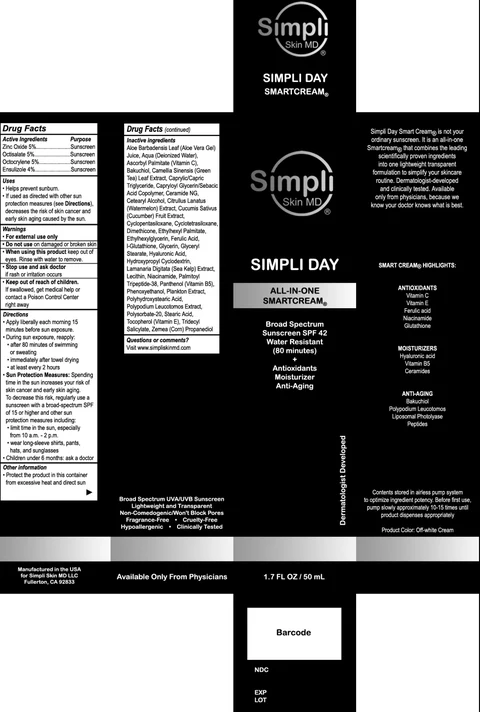 SIMPLI DAY All In One SmartCream SPF 42 포장