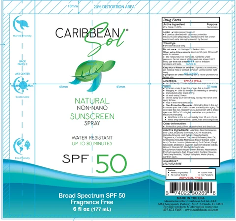 Caribbean Sol Natural Non-Nano Sunscreen SPF 50 포장