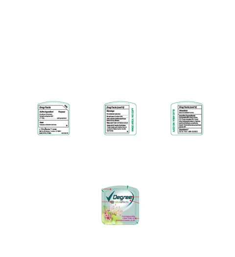 Degree WomenNature Effects Honeysuckle and Tea Tree Oil 포장