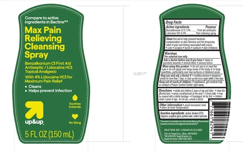 Up and Up Max Pain Relieving Cleansing 포장