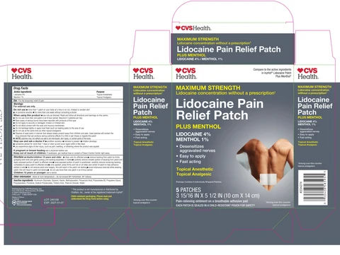 CVS Cold and Hot Pain Relief packaging