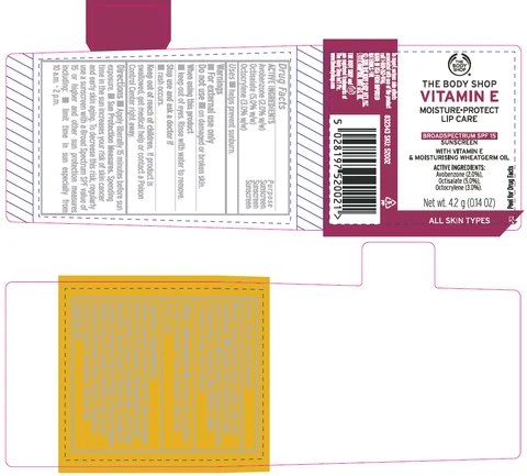 VITAMIN E MOISTURE-PROTECT LIP CARE SPF 15 포장