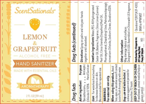 Hand Sanitizer packaging