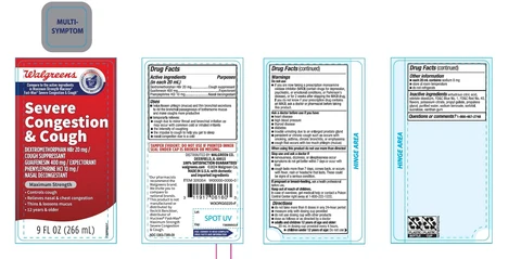 Walgreen Maximum Strength Severe Congestion and cough 포장