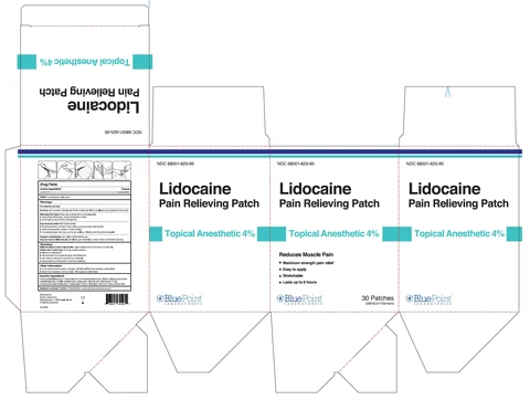 Lidocaine Patch 30 Patch Carton Rev 0825