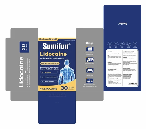 Lidocaine Pain Relief Gel-Patch packaging