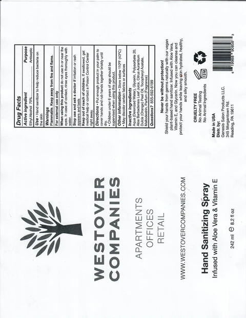 Hand Sanitizer packaging