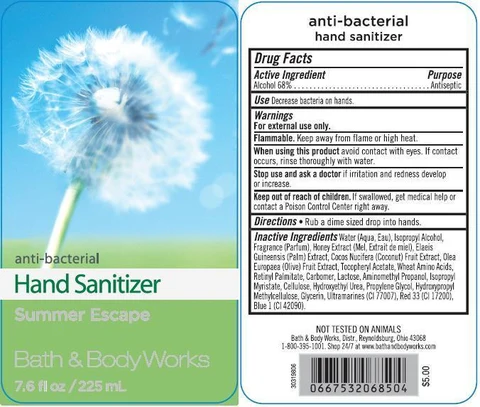 Anti-Bacterial Hand SanitizerSummer Escape 포장