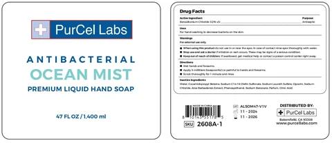 ANTIBACTERIAL washing liquid 포장
