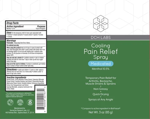 DCH Cooling Pain Relief 포장