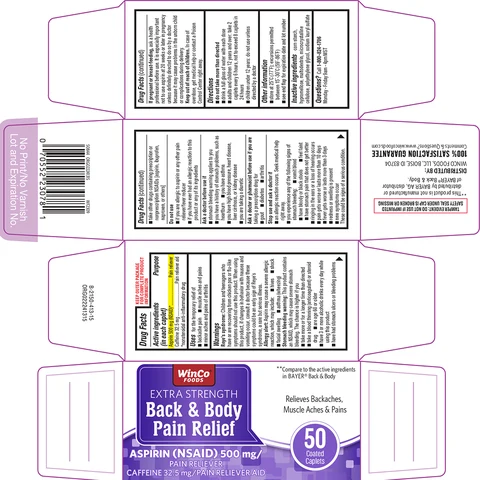 Back and Body Pain Relief 포장