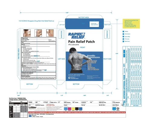 Rapid Relief Pain Relief Patch 포장