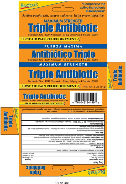 Triple AntibioticMaximum Strength packaging