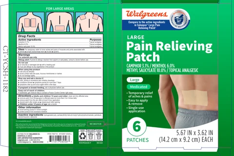 Walgreens Pain Relieving Patch packaging
