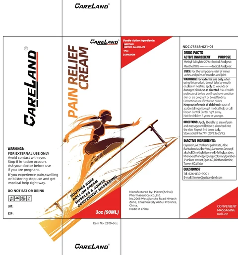 Careland Pain Relief 포장
