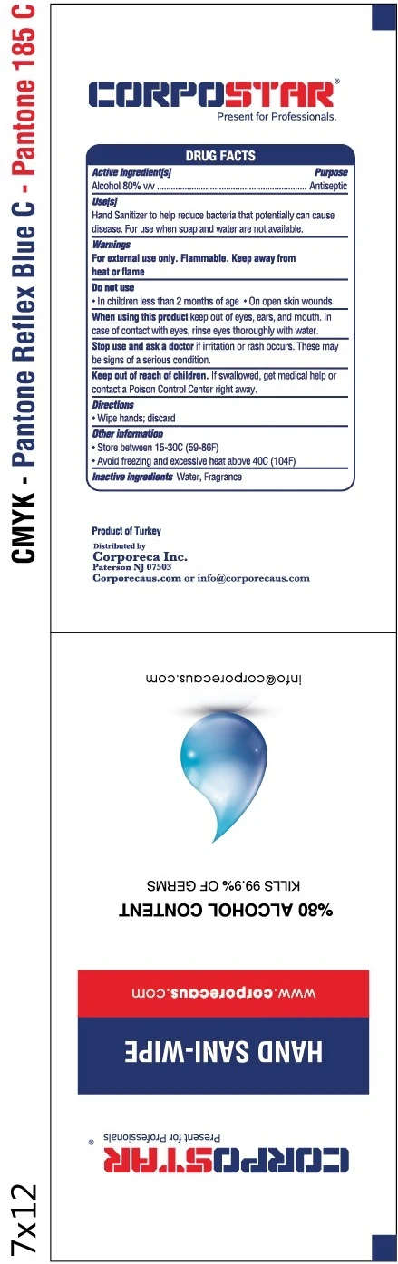 Corpostar Hand Sani Wipe 포장