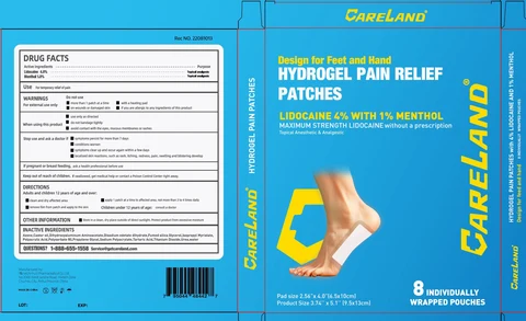 Careland Hydrogel Pain Relief Patches 포장