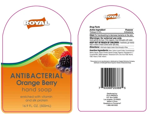 Royal Antibacterial Orange Berry Hand Cleanse packaging