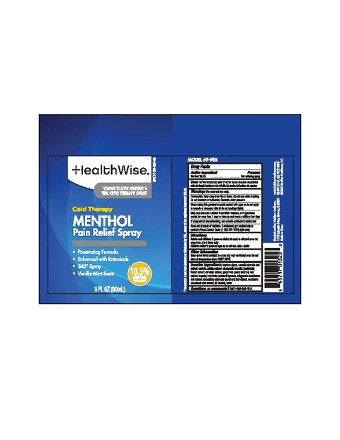 HealthWise Cold Therapy Menthol Pain Relief packaging