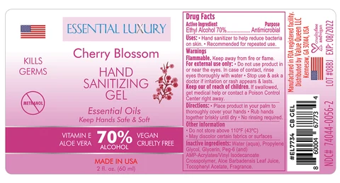 Hand Sanitizer packaging