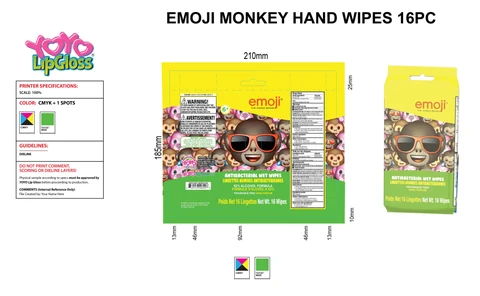 Antibacterial Wet Wipes, Alcohol 포장