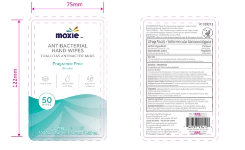 Antibacterial Hand Wipes 포장
