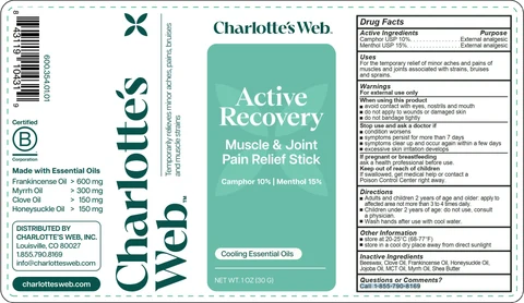 Active Recovery Pain Relief Stick 포장