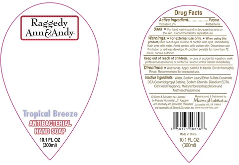 Raggedy Ann and Andy Tropical Breeze 포장