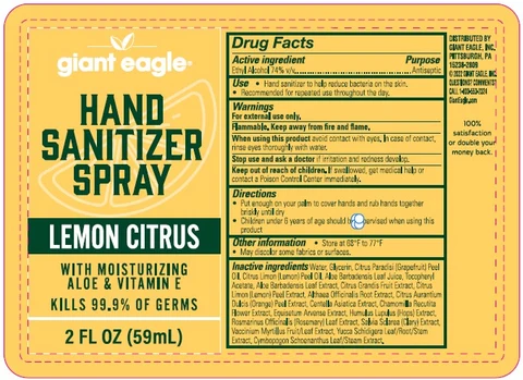 HAND SANITIZERLEMON CITRUS 포장