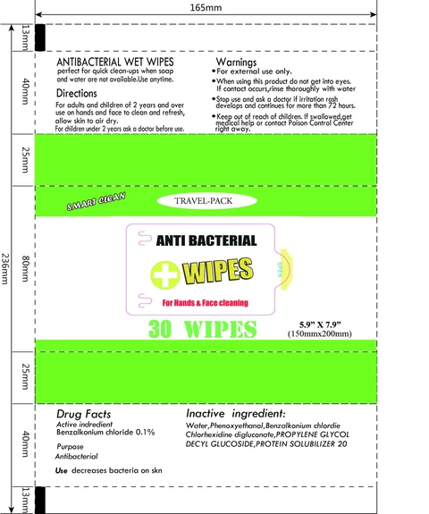 Antibacterial Wet Wipes 포장