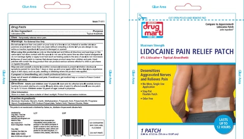 DISCOUNT DRUG MART PAIN RELIEF PATCHES 포장