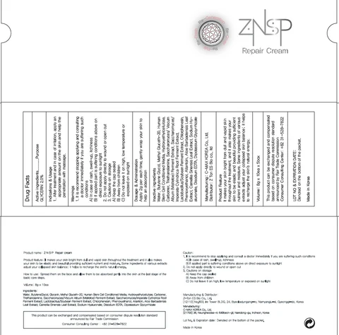ZNSP Repair 포장
