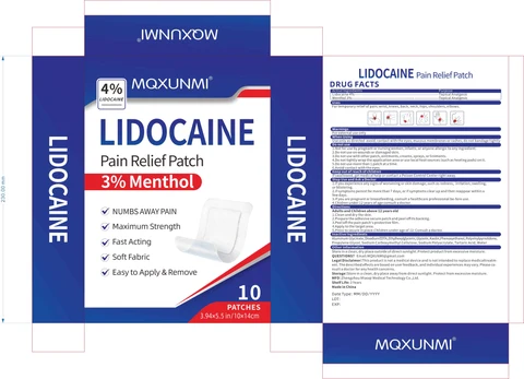 MQXUNMI LIDOCAINE Pain Relief Patch 포장
