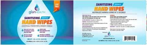Sanitizing Hand wipes 포장