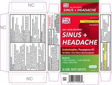 SINUS AND HEADACHE 포장