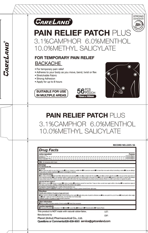 Careland Pain Relief Plus 포장
