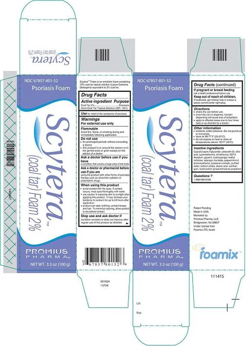 Scytera(coal tar) Foam, 2% 포장