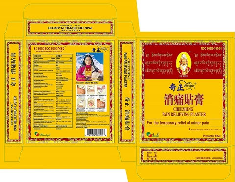 CheeZheng Pain Relieveing Plaster 포장