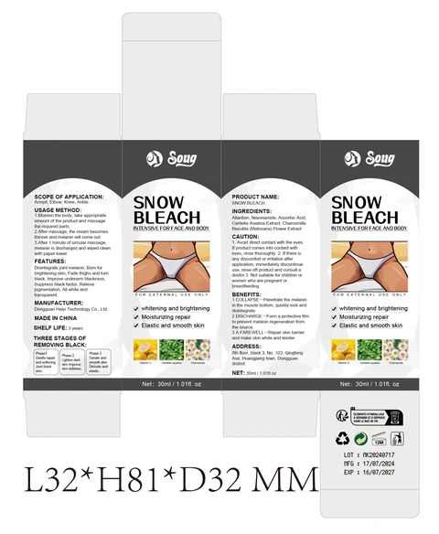 SNOW BLEACH 포장