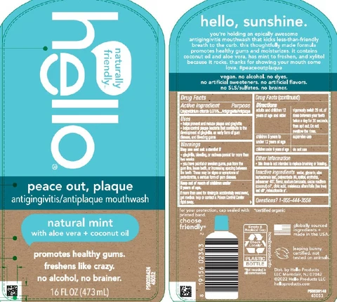 Hello Peace Out Plaque packaging