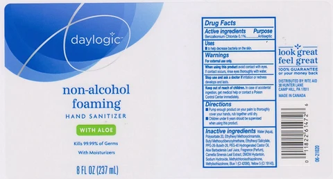 Daylogic Foaming Sanitizer Aloe 포장