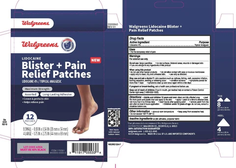 Walgreens 포장