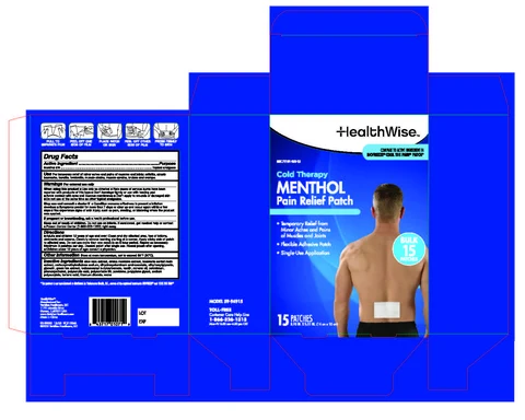 HealthWise Cold Therapy Pain Relief Patch packaging
