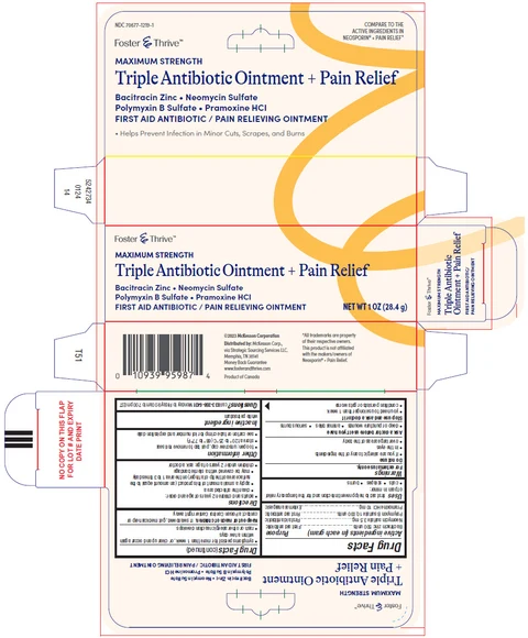 Triple Antibiotic plus Pain Relief packaging