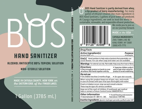 Cayuga Ingredients Hand Sanitizer 포장