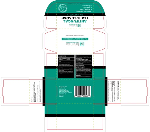 Lavinso Antifungal packaging