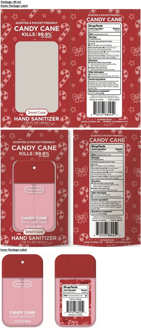 Smart Care CANDY CANE HAND SANITIZER 포장