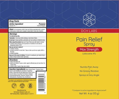 DCH Pain Relief 포장