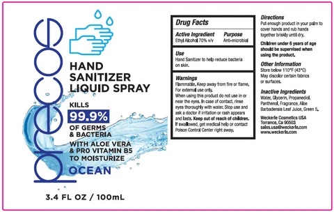 HAND SANITIZER liquid 포장