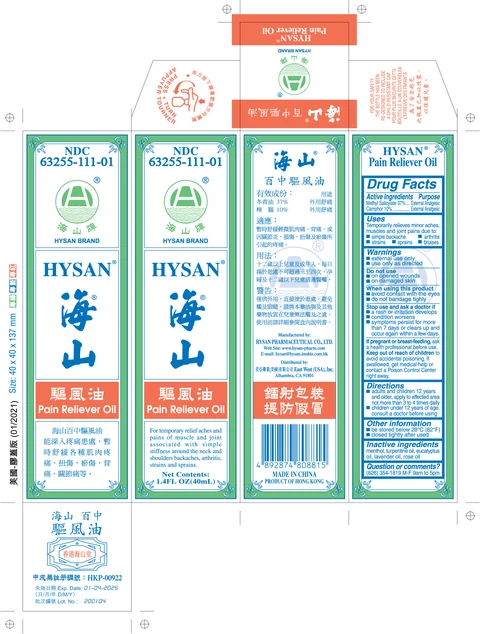 HYSAN PAIN RELIEVER packaging
